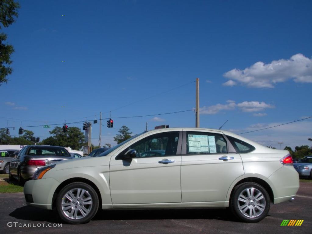 Natural Neutral Metallic 2011 Ford Focus SEL Sedan Exterior Photo #38224049