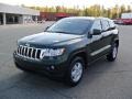 2011 Natural Green Pearl Jeep Grand Cherokee Laredo  photo #1