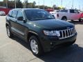 2011 Natural Green Pearl Jeep Grand Cherokee Laredo  photo #5