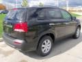 2011 Ebony Black Kia Sorento LX  photo #6