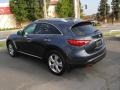 2009 Blue Slate Infiniti FX 35  photo #12