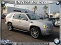 Gold Mist 2009 Cadillac Escalade 