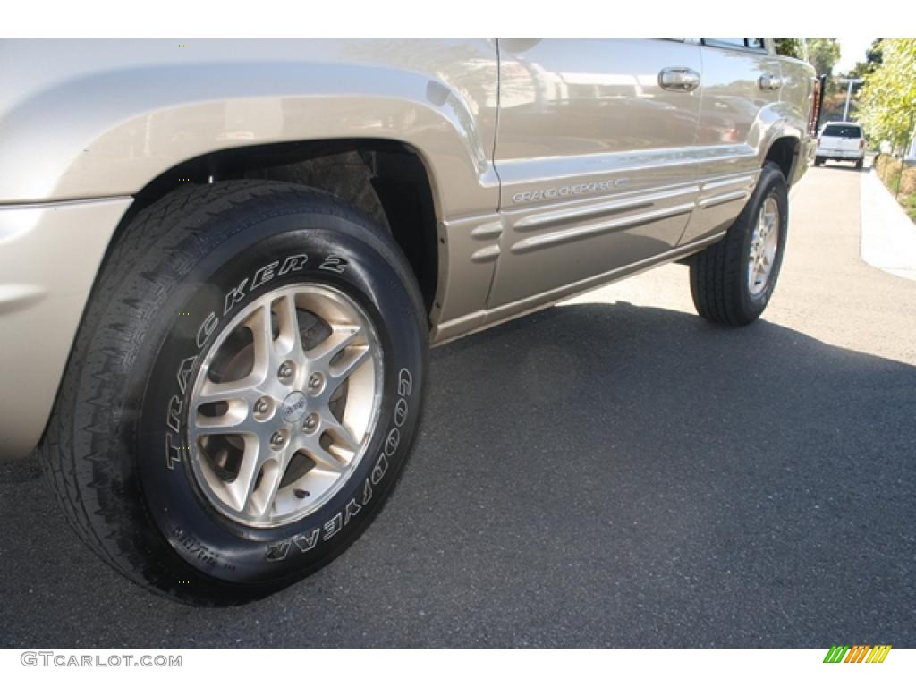 1999 Grand Cherokee Limited 4x4 - Champagne Pearl / Camel photo #30