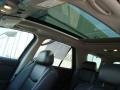 Light Platinum - SRX V6 Photo No. 14