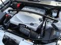 Light Platinum - SRX V6 Photo No. 15