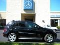 Black - ML 350 4Matic Photo No. 5