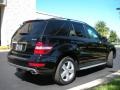 Black - ML 350 4Matic Photo No. 6