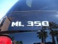 Black - ML 350 4Matic Photo No. 9