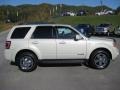 2008 Light Sage Metallic Ford Escape Limited 4WD  photo #5