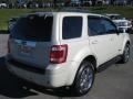 2008 Light Sage Metallic Ford Escape Limited 4WD  photo #6