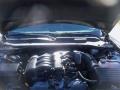 Brilliant Black Crystal Pearl - Charger Rallye Photo No. 18