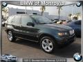 Highland Green Metallic - X5 4.4i Photo No. 1