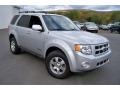 2008 Silver Metallic Ford Escape Limited 4WD  photo #3