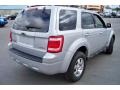 2008 Silver Metallic Ford Escape Limited 4WD  photo #5