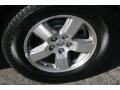 2010 Honda Pilot EX-L 4WD Wheel and Tire Photo