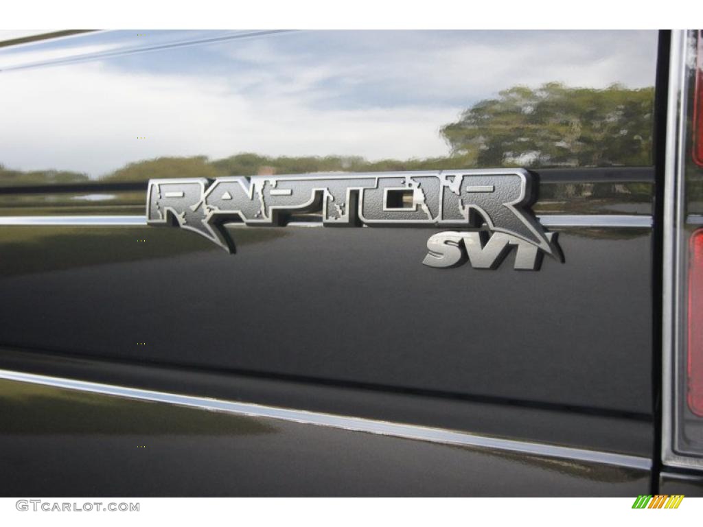 2010 Ford F150 SVT Raptor SuperCab 4x4 Marks and Logos Photo #38278008