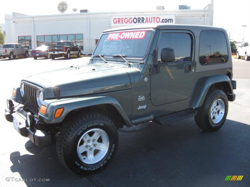 2004 Wrangler Sahara 4x4 - Shale Green Metallic / Khaki photo #1