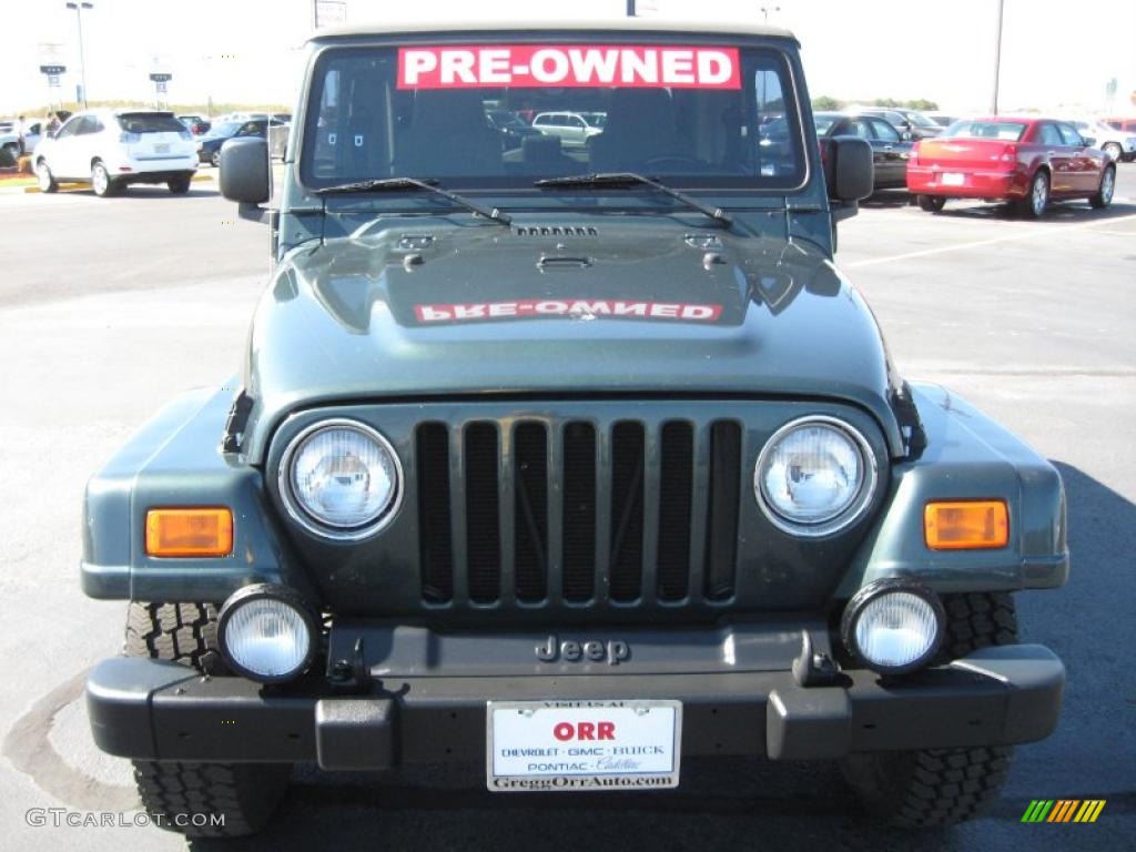 2004 Wrangler Sahara 4x4 - Shale Green Metallic / Khaki photo #2