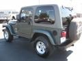 2004 Shale Green Metallic Jeep Wrangler Sahara 4x4  photo #6