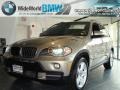 2007 Platinum Bronze Metallic BMW X5 3.0si  photo #1