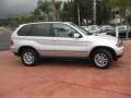 Titanium Silver Metallic - X5 3.0i Photo No. 3