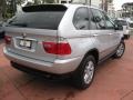 Titanium Silver Metallic - X5 3.0i Photo No. 5