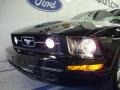 Black - Mustang V6 Deluxe Coupe Photo No. 6