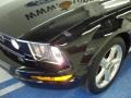 Black - Mustang V6 Deluxe Coupe Photo No. 7