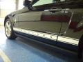 Black - Mustang V6 Deluxe Coupe Photo No. 10