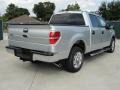 2010 Ingot Silver Metallic Ford F150 XLT SuperCrew  photo #3