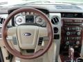 Chapparal Leather Gauges Photo for 2010 Ford F150 #38292421
