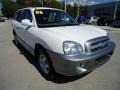 2006 Nordic White Hyundai Santa Fe Limited  photo #14