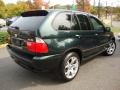 Oxford Green Metallic - X5 4.4i Photo No. 6