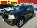 Jeep Green Metallic - Grand Cherokee Laredo Photo No. 1
