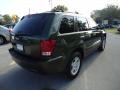Jeep Green Metallic - Grand Cherokee Laredo Photo No. 12