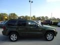 Jeep Green Metallic - Grand Cherokee Laredo Photo No. 13
