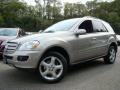 2008 Pewter Metallic Mercedes-Benz ML 350 4Matic  photo #1