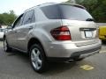 2008 Pewter Metallic Mercedes-Benz ML 350 4Matic  photo #5