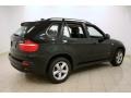 2007 Black Sapphire Metallic BMW X5 3.0si  photo #7