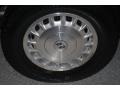 Light Sandrift Metallic - Century Limited Photo No. 27