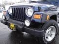 2003 Patriot Blue Jeep Wrangler Sport 4x4  photo #9