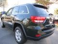 Natural Green Pearl - Grand Cherokee Laredo X Package Photo No. 2