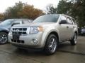 2011 Gold Leaf Metallic Ford Escape XLT V6 4WD  photo #1