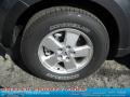2011 Sterling Grey Metallic Ford Escape XLT V6 4WD  photo #18