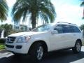 Arctic White - GL 450 4Matic Photo No. 2