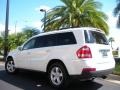 Arctic White - GL 450 4Matic Photo No. 8