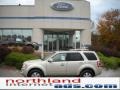 2011 Gold Leaf Metallic Ford Escape Limited 4WD  photo #1