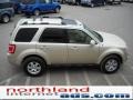 2011 Gold Leaf Metallic Ford Escape Limited 4WD  photo #5