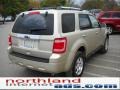 2011 Gold Leaf Metallic Ford Escape Limited 4WD  photo #6