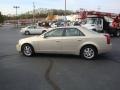Gold Mist - CTS Sedan Photo No. 6